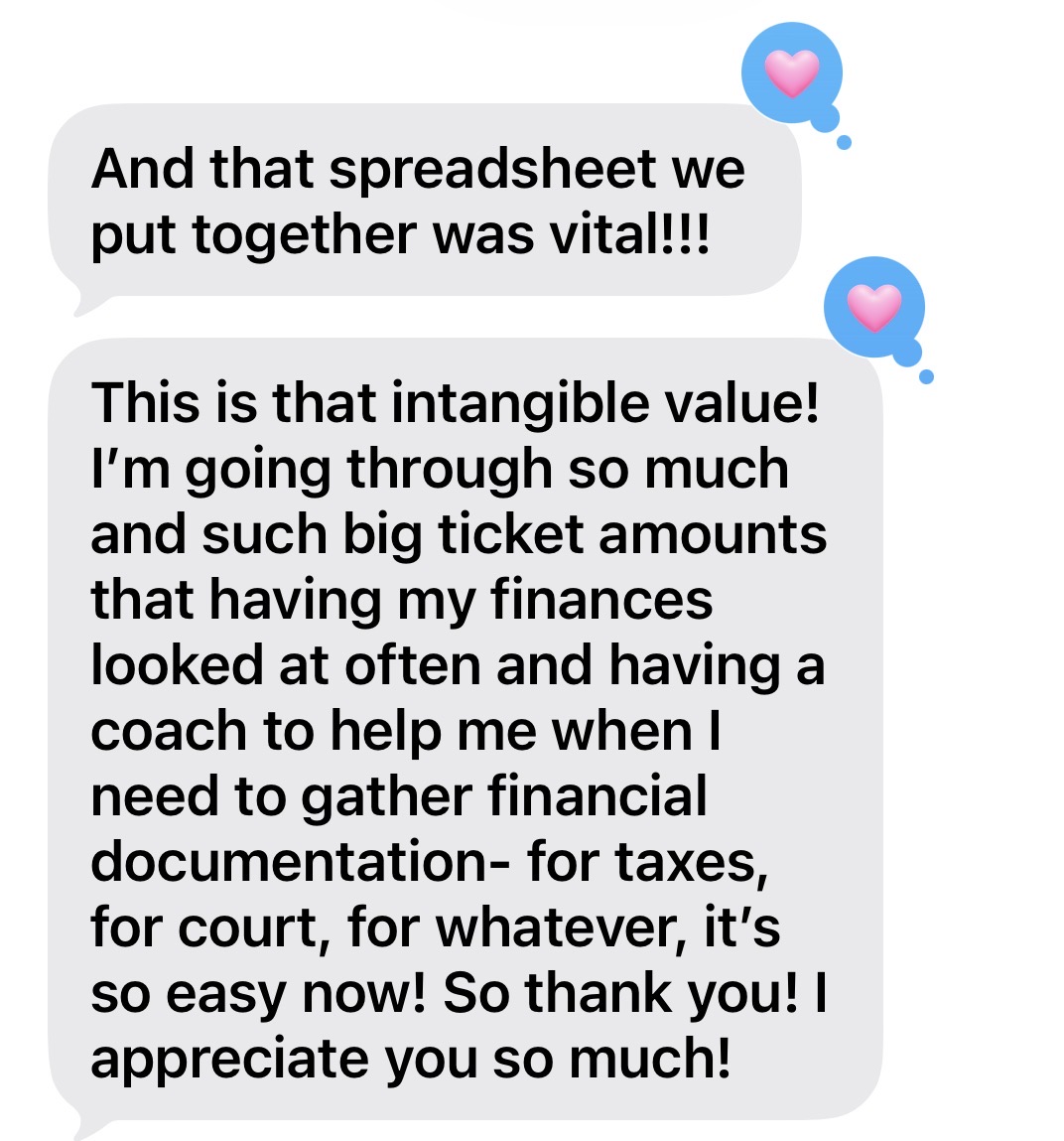 Client message about the vital spreadsheet and the intangible value of having a money coach